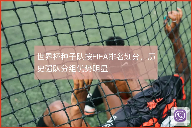 世界杯种子队按FIFA排名划分，历史强队分组优势明显