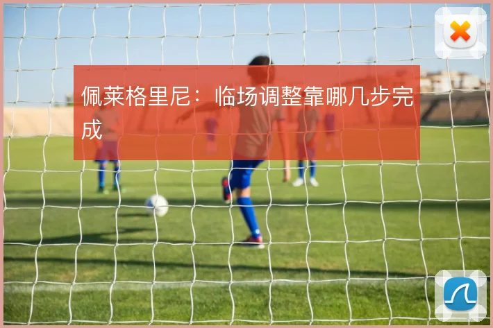 佩莱格里尼：临场调整靠哪几步完成
