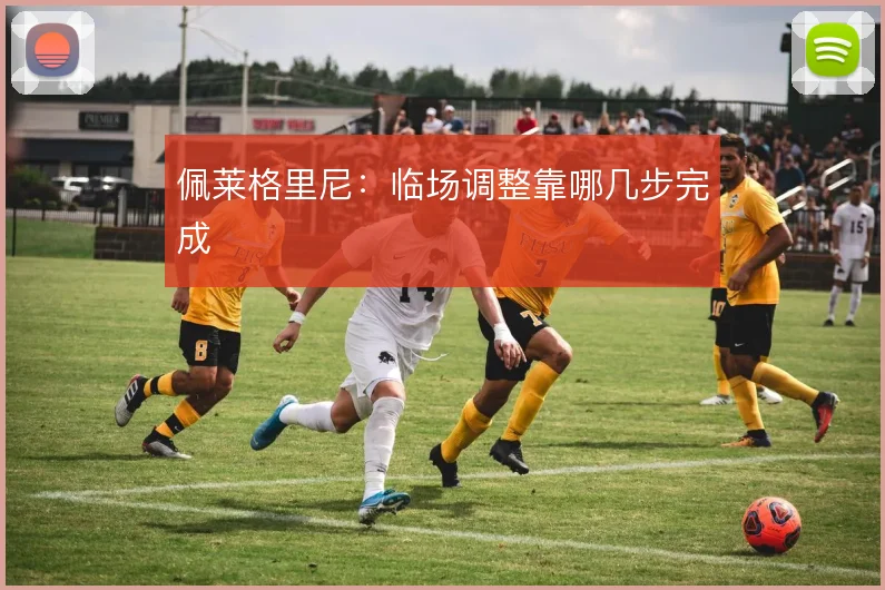 佩莱格里尼：临场调整靠哪几步完成